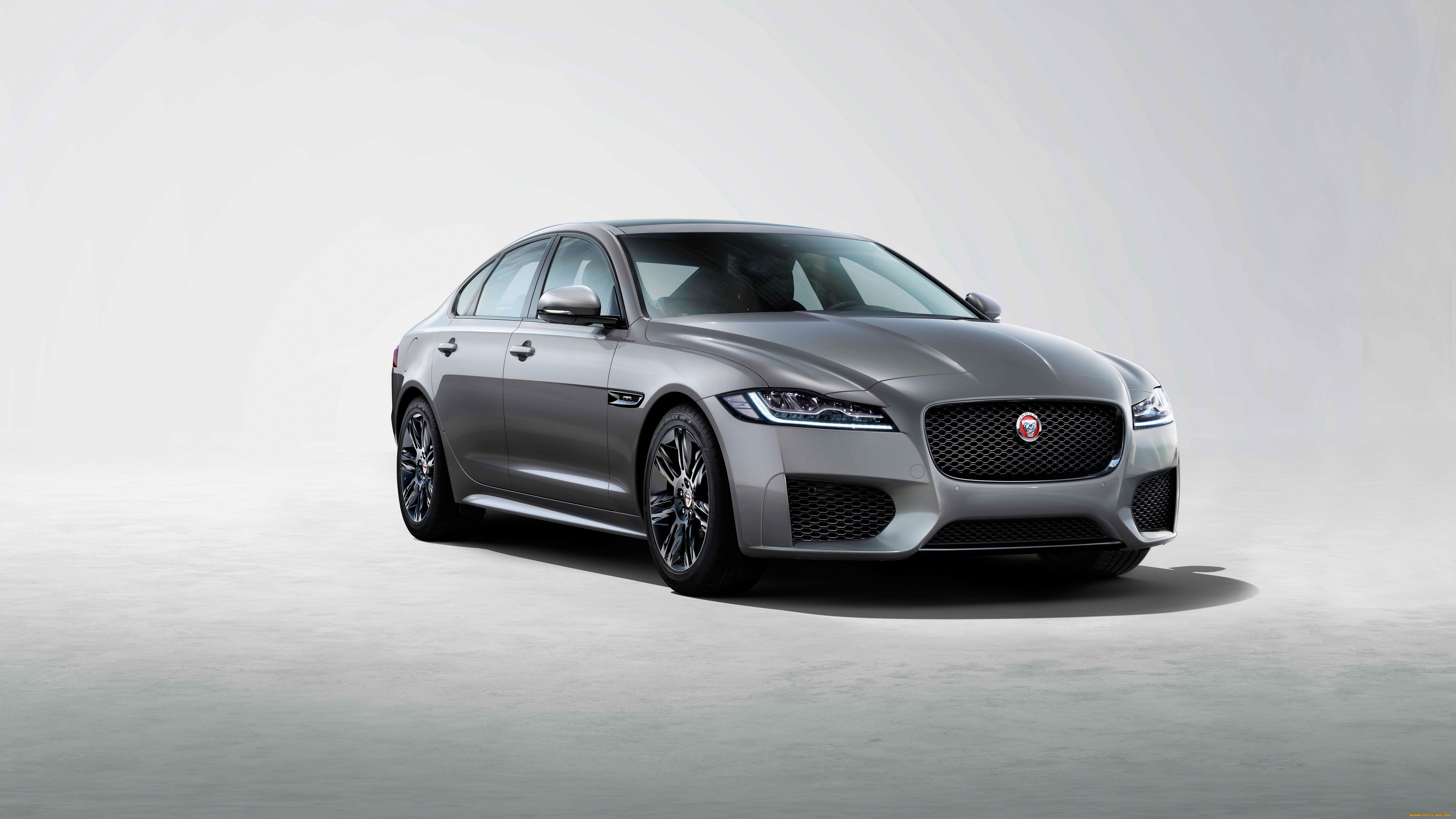 2019 jaguar xf chequered flag, , jaguar, , , , , 2019, xf, chequered, flag